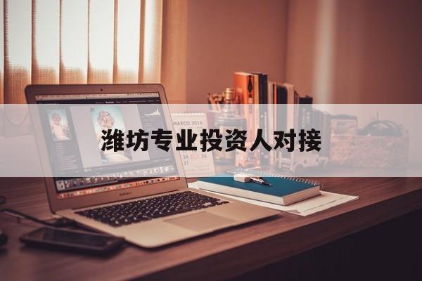 合肥市潍坊专业投资人对接(潍坊专业投资人对接中心)