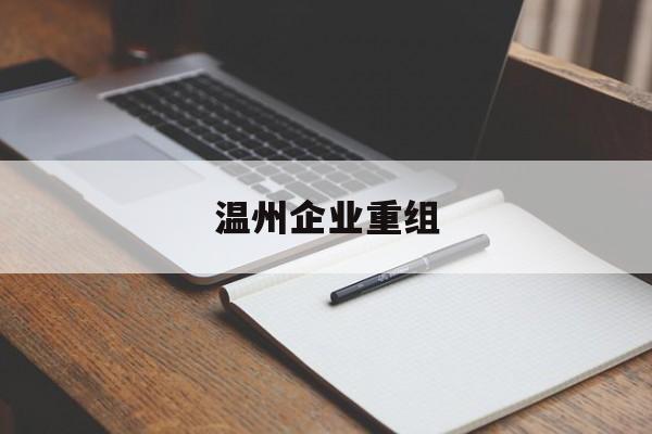 合肥市温州企业重组(温州市国有企业重组改革)