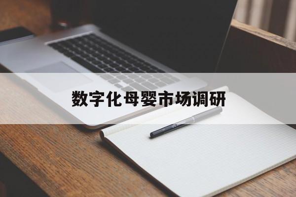 合肥市数字化母婴市场调研(数字化母婴市场调研报告)