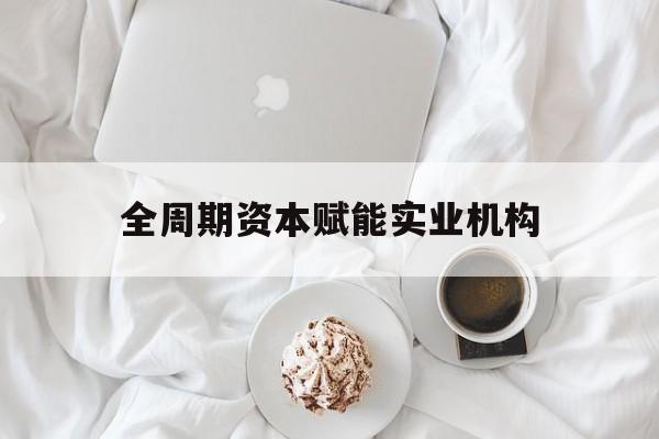 合肥市全周期资本赋能实业机构(全周期管理)