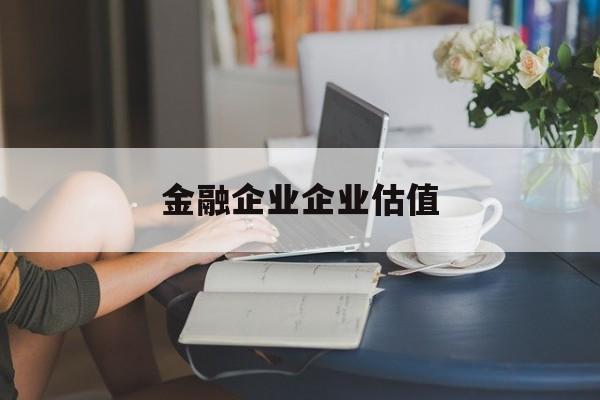 合肥市金融企业企业估值(最新企业估值怎么填)
